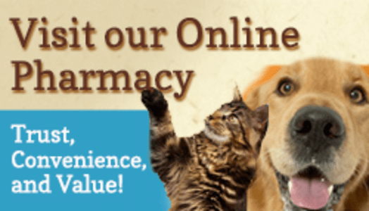 Order your pet's medicines and supplies online | Susquehanna Vet Clinic
